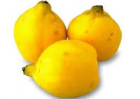 Membrillo